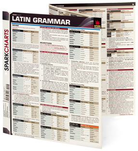 Latin Grammar 97