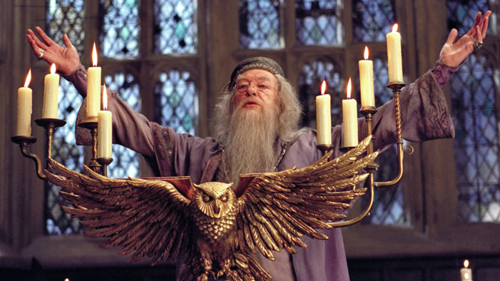 The Logic of Albus Dumbledore
