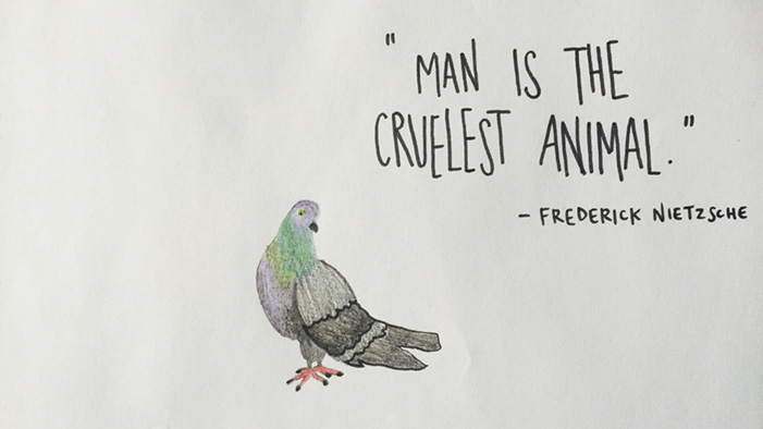 Behold: the Wisdom of Philosopher Pigeons