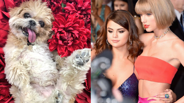 QUIZ: What's Your Celeb Instagram Personality?