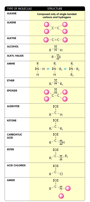 Organic Molecules Chart