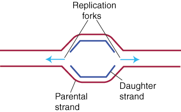 Bio Break Meaning and Origin