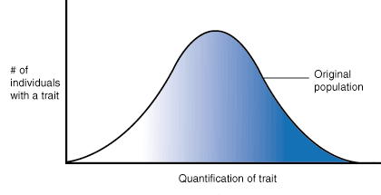 Bell shaped curve representing the normal distribution of traits. The