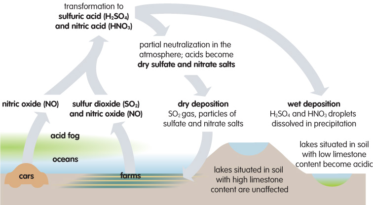 Acid deposition causes changes in the pH of water and soil, 