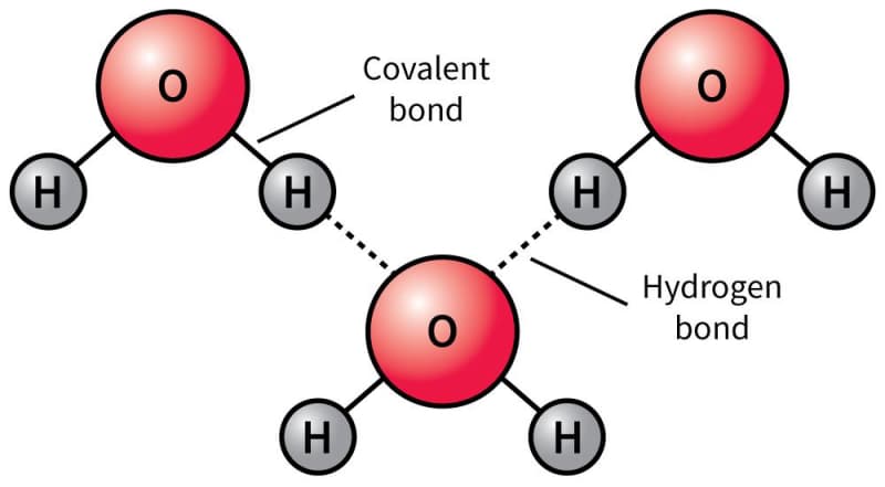 A diagram shows the structure of water molecules and the bonds they form between them.