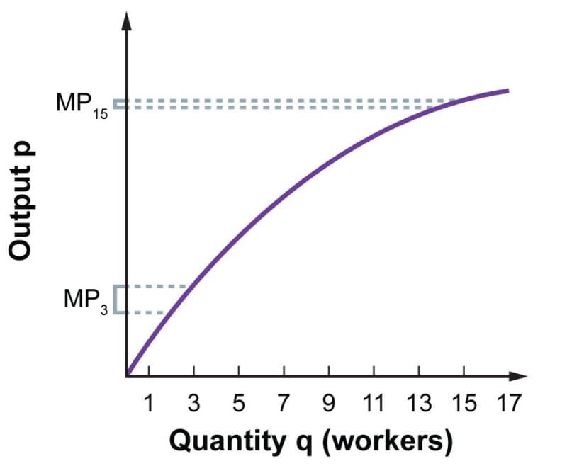 A production function with diminishing marginal product. With quantity of workers q on the horizontal axis and output on the vertical axis, the function is concave down and increasing. The marginal product is the difference in output due to adding 1 worker. Due to the shape of the curve, the marginal product from adding the third worker is greater than the marginal product from adding the fifteenth worker.