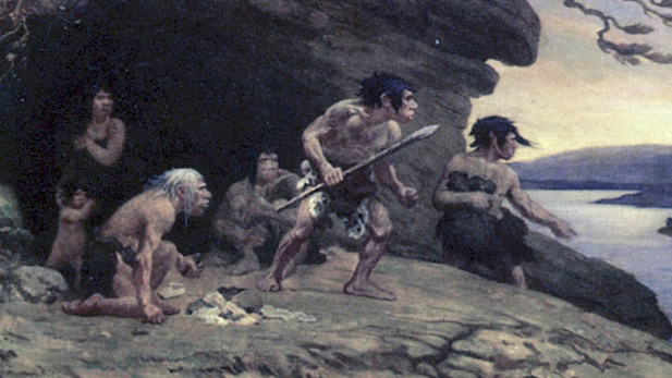 facts about neanderthals