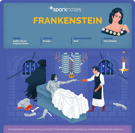 infographic image