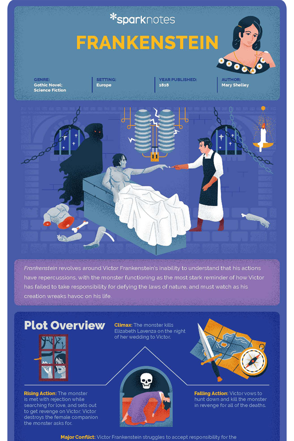 infographic image